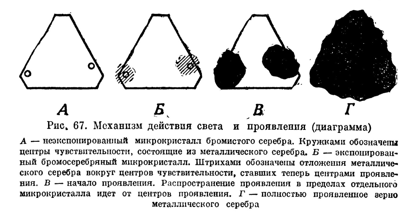 Механизм действия света и проявления